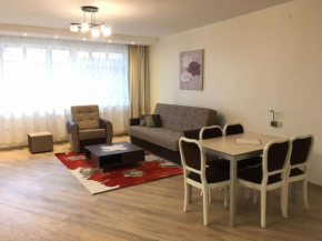 Spacious Apartment in Kintai, Kintai